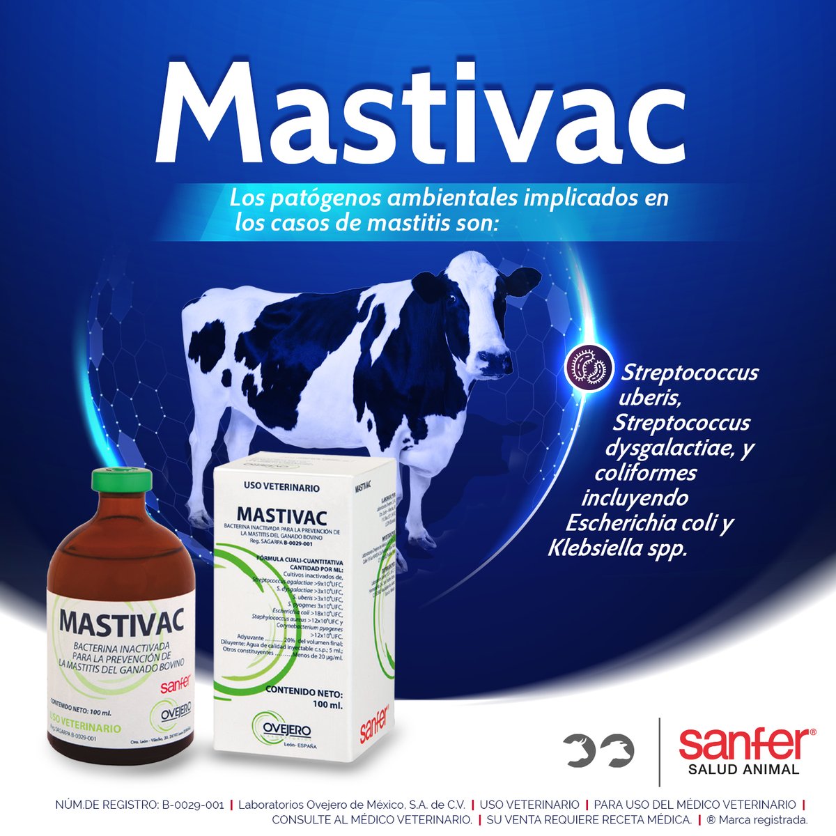 SanferSaludA's tweet photo. Los microorganismos que causan mastitis pueden ser patógenos contagiosos o ambientales.
#SanferSaludAnimal #Mastivac #Mastitis #BienestarAnimal #Prevención https://t.co/sPJd8hIaWQ