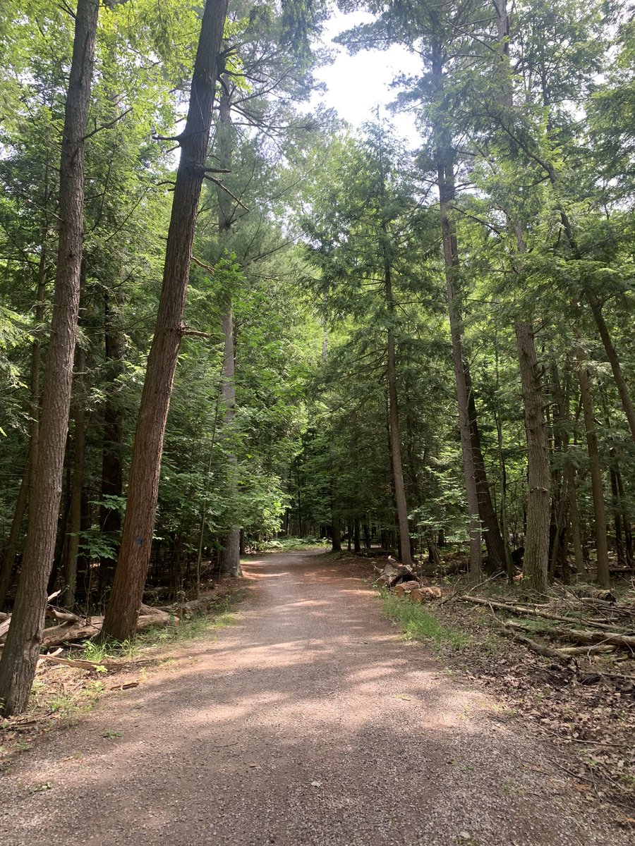 Jennifer Paxson Prass Elementary Principal (@prasspaxson) on Twitter photo Thank you Prass Staff & Families for joining the 30 day walking challenge for the month of June! It is nice to come together as a community through walking and wellness! Enjoyed a beautiful hike through Vasa Park in Traverse City, MI with family! #WalkTogether <a href="/KetteringSchls/">KetteringSchools</a> Thank you Prass Staff & Families for joining the 30 day walking challenge for the month of June! It is nice to come together as a community through walking and wellness! Enjoyed a beautiful hike through Vasa Park in Traverse City, MI with family! #WalkTogether <a href="/KetteringSchls/">KetteringSchools</a>