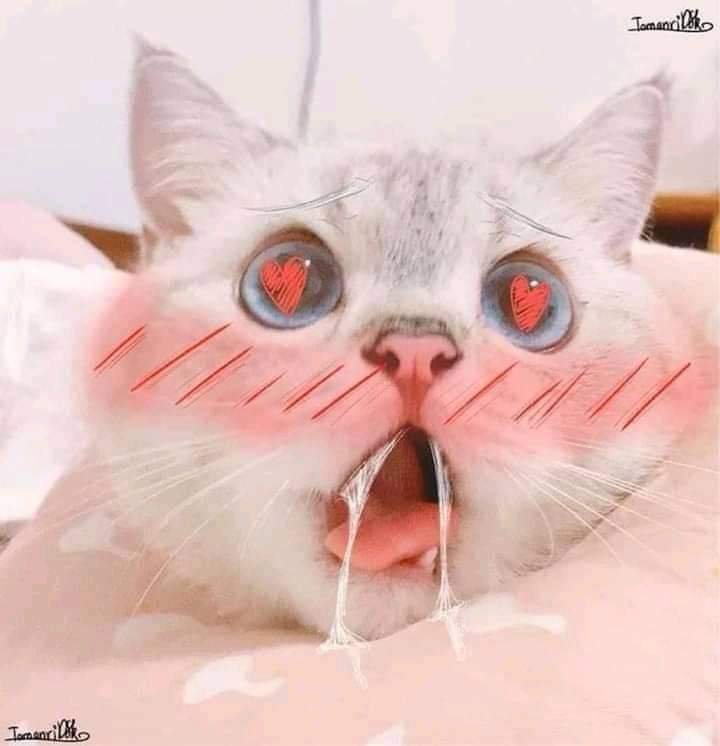 astaroth3375's tweet photo. @dtyui2020 https://t.co/ll2ulKiRBR