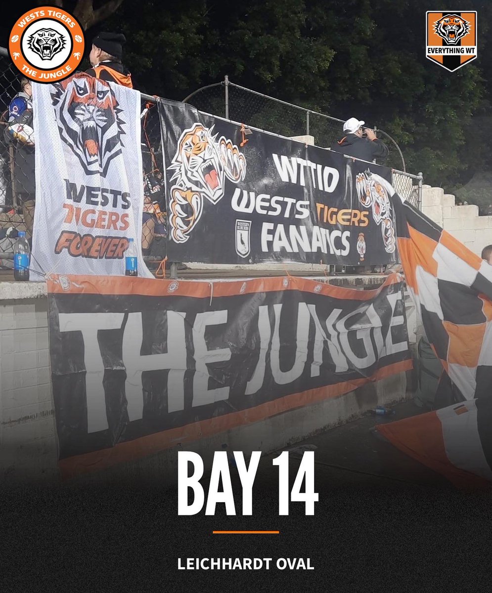 thejungle_wt's tweet photo. Information post for The Jungle ahead of this Saturday night at the 8th wonder! 🧡🖤🤍
https://t.co/Y2jfs6GApL https://t.co/ly2vweC1W3