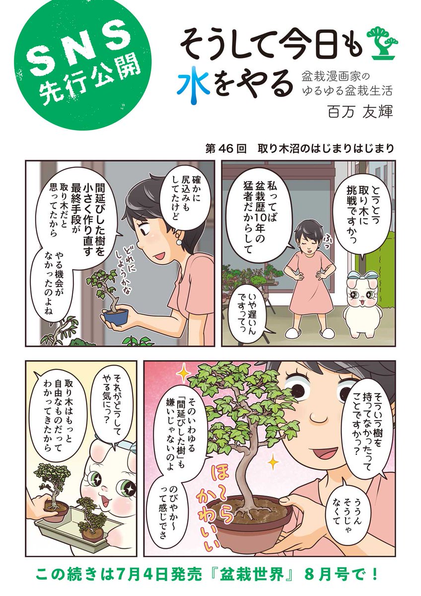 【盆栽世界8月号予告】
樹と共に暮らす生活を提案する盆栽専門誌『盆栽世界』最新号は7/4発売済!
今回の #水やる は取り木。作業自体は思ったより簡単だったけど、いくつ根が出るのやら…!?
本誌メイン特集は糸魚川真柏。あと野菜で作る盆栽鉢がいい意味でヤバい! #盆栽 #bonsai #水やる 