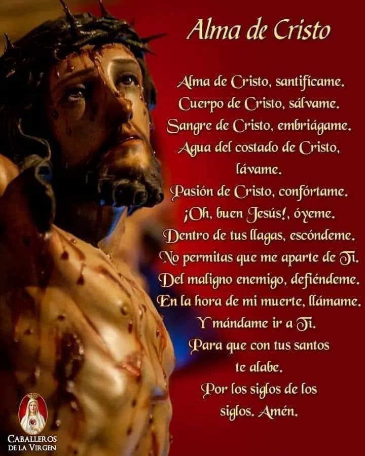pedro guilermo (@guilermo_pedro) on Twitter photo 