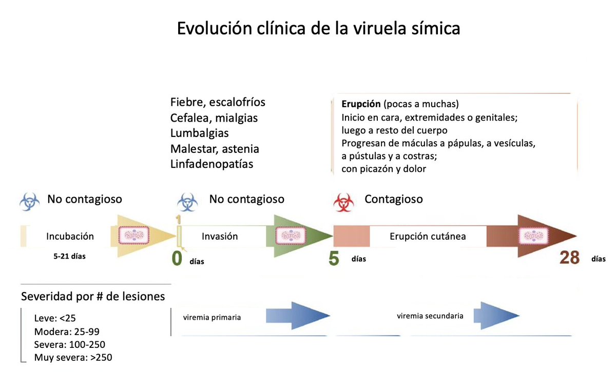Cuadro clínico de la viruela símica, grado de severidad y duración de contagio a contactos íntimos (aislamiento de 4 semanas desde síntomas iniciales y hasta que todas las lesiones estén en fase de costra)