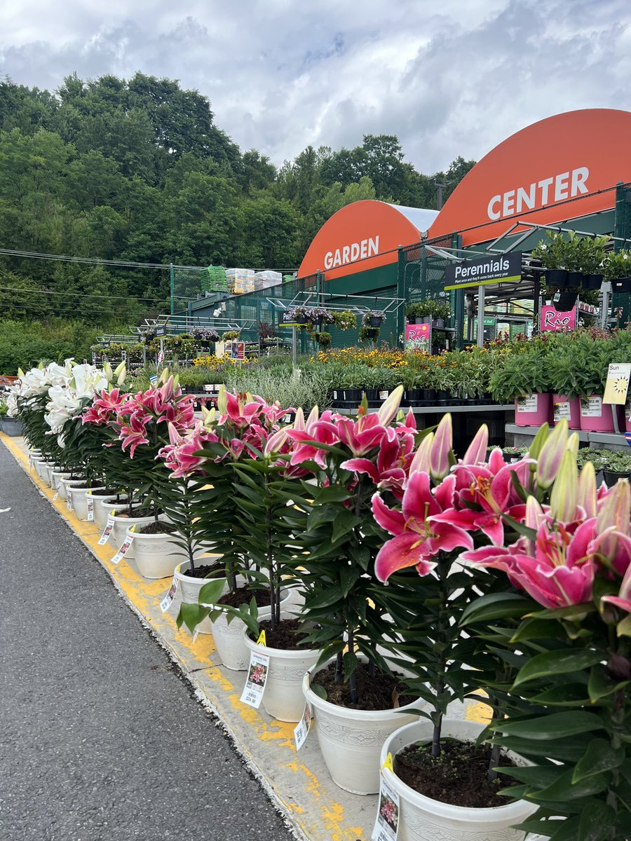 Bell making the garden center at 4118 look fantastic :)