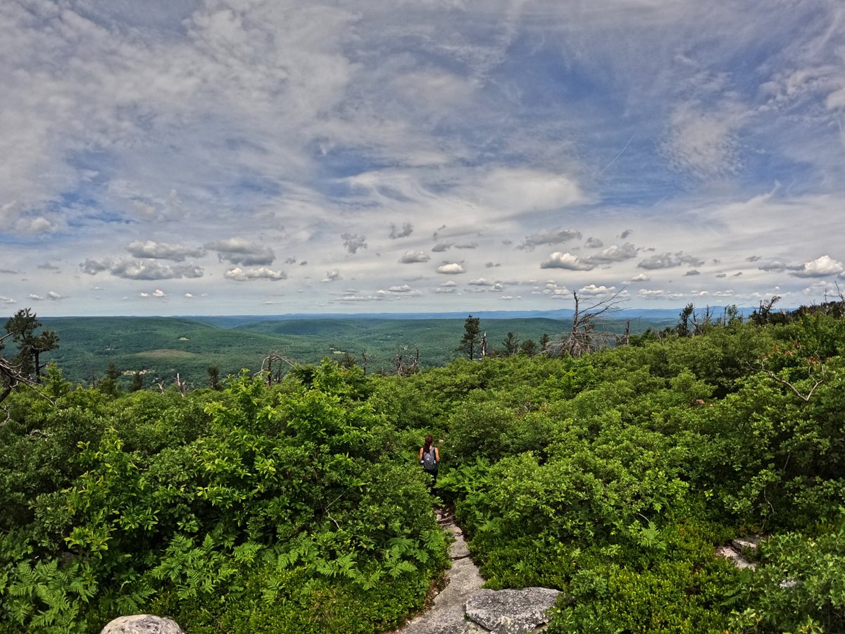 hbtrailscom's tweet photo. Hiking the Shawangunks Ridge - Long Path Section 13 - https://t.co/aUf8WvlzCn #gunks #shawangunks #hiking #getoutside #longpathsection13 #trails #outdoors https://t.co/q2zzDK07pX