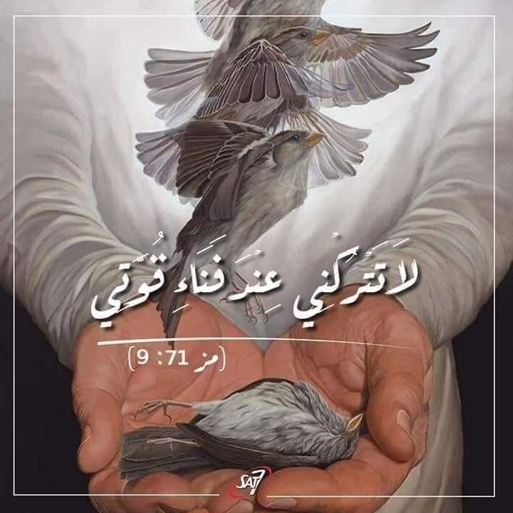 𝕃𝕆𝔻𝔾𝕐_𝕋𝕆𝕋𝔸❤️🍒 tweet media