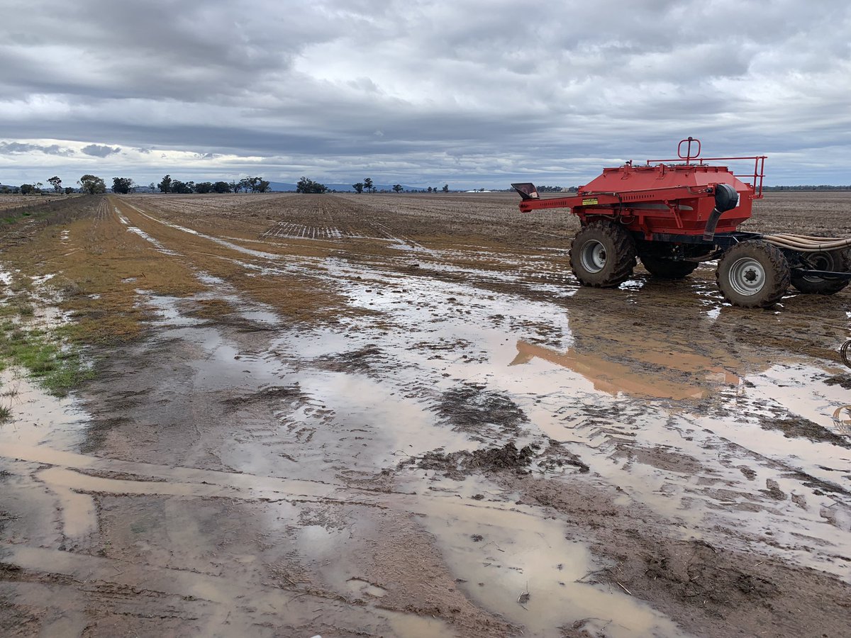 Does anyone happen to have 15-20T of Preferably Maximus if not Spartacus barley they want to sell. Might have to resow with plane next week. Cheers