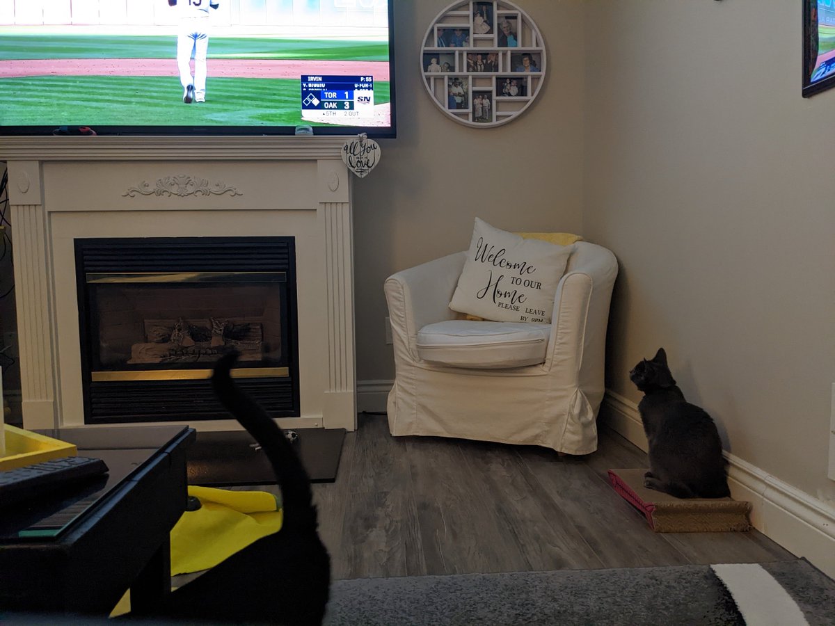 ryanpow89's tweet photo. Do cats watching the games count? 🐱

@DShulman_ESPN @BlueJays https://t.co/jArUvewAQ4