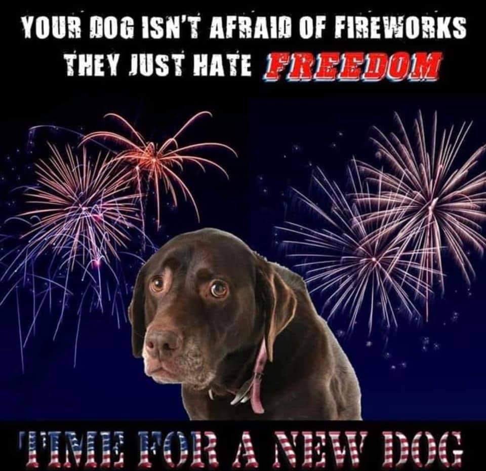 Dore24_com's tweet photo. Happy Independence Day https://t.co/tuMzu1J8YI