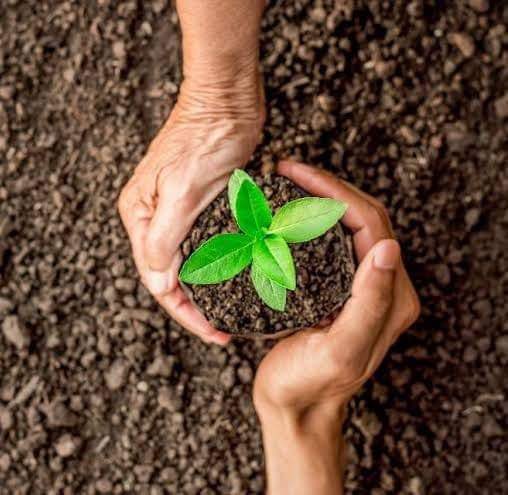 monica_thapar's tweet photo. @LogicalIndians The #Chandigarh #SaveSoil bikers have continued to spread the word despite the heavy rain. Feel the richness of healthy soil and the starkness of lifeless soil with your own hands!That difference is the throb of life and the desolation of death. Let us make it it happen!#SaveSoil https://t.co/gHDAMt3t3J