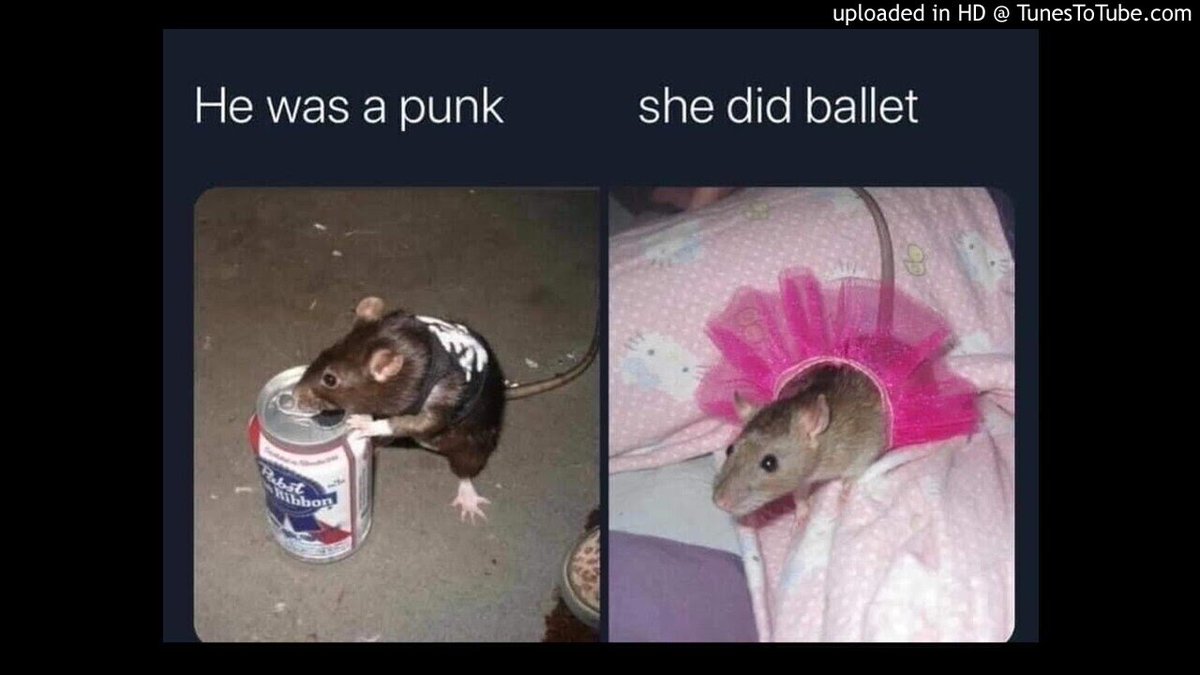 Sukiyama's tweet photo. Here's a love story
#ratmeme #rats #cuteart https://t.co/zJIDpTuRnK