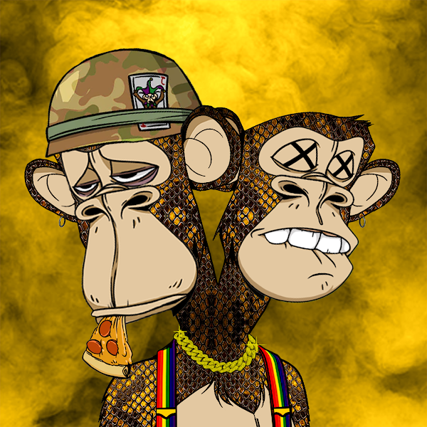 Browser Bro tweet media