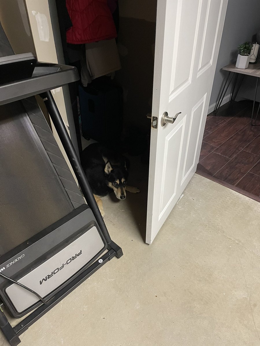 Our dog Abby, in her denning spot in the basement underneath the stairs, because she’s scared by the assholes who light fireworks off in a residential neighborhood, let alone doing it at 10:48 on a Monday night.