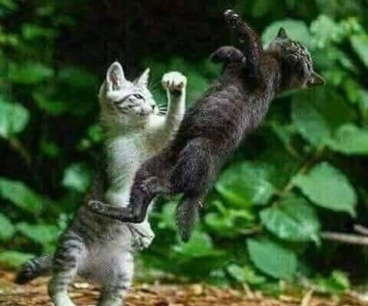 هههههههه 🙅‍♂️😁😂