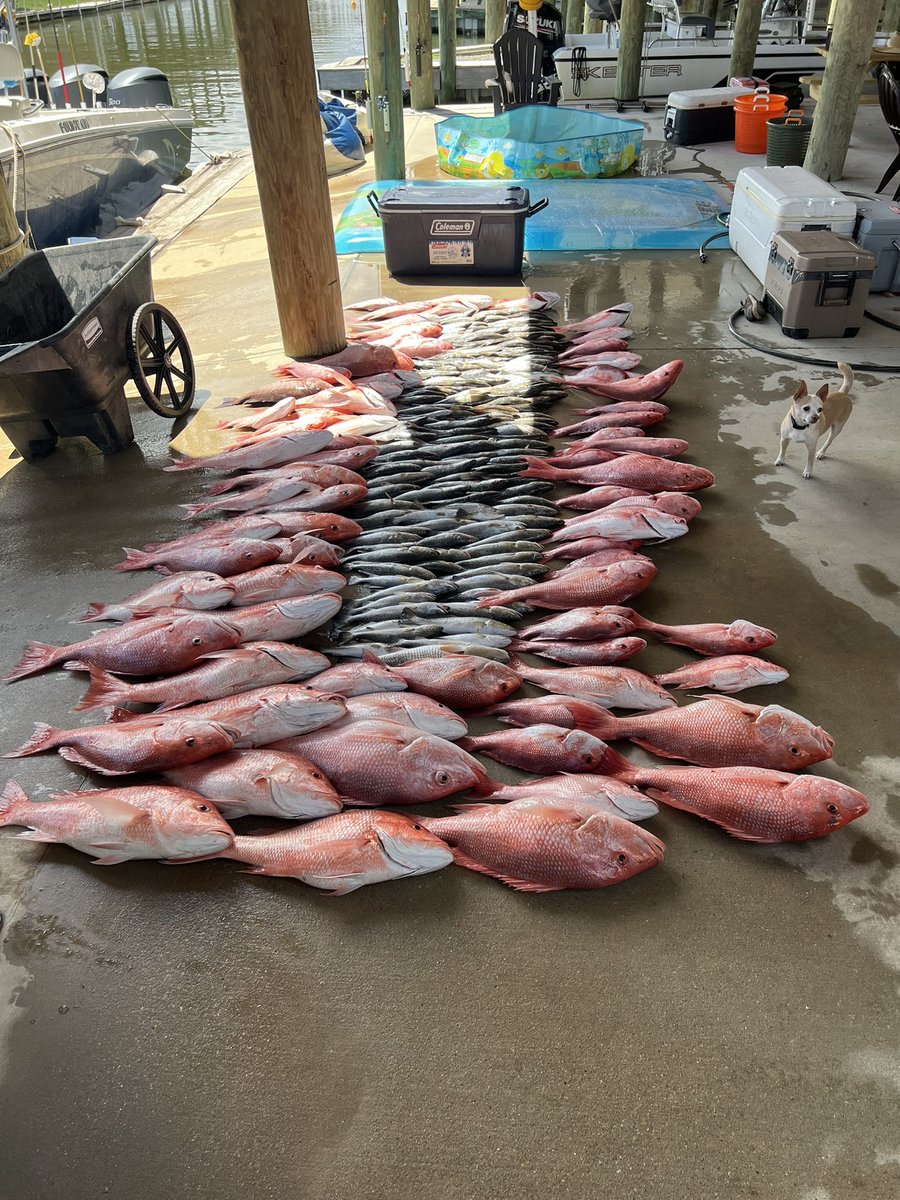 Don’t get no better #Happy4thofJuly