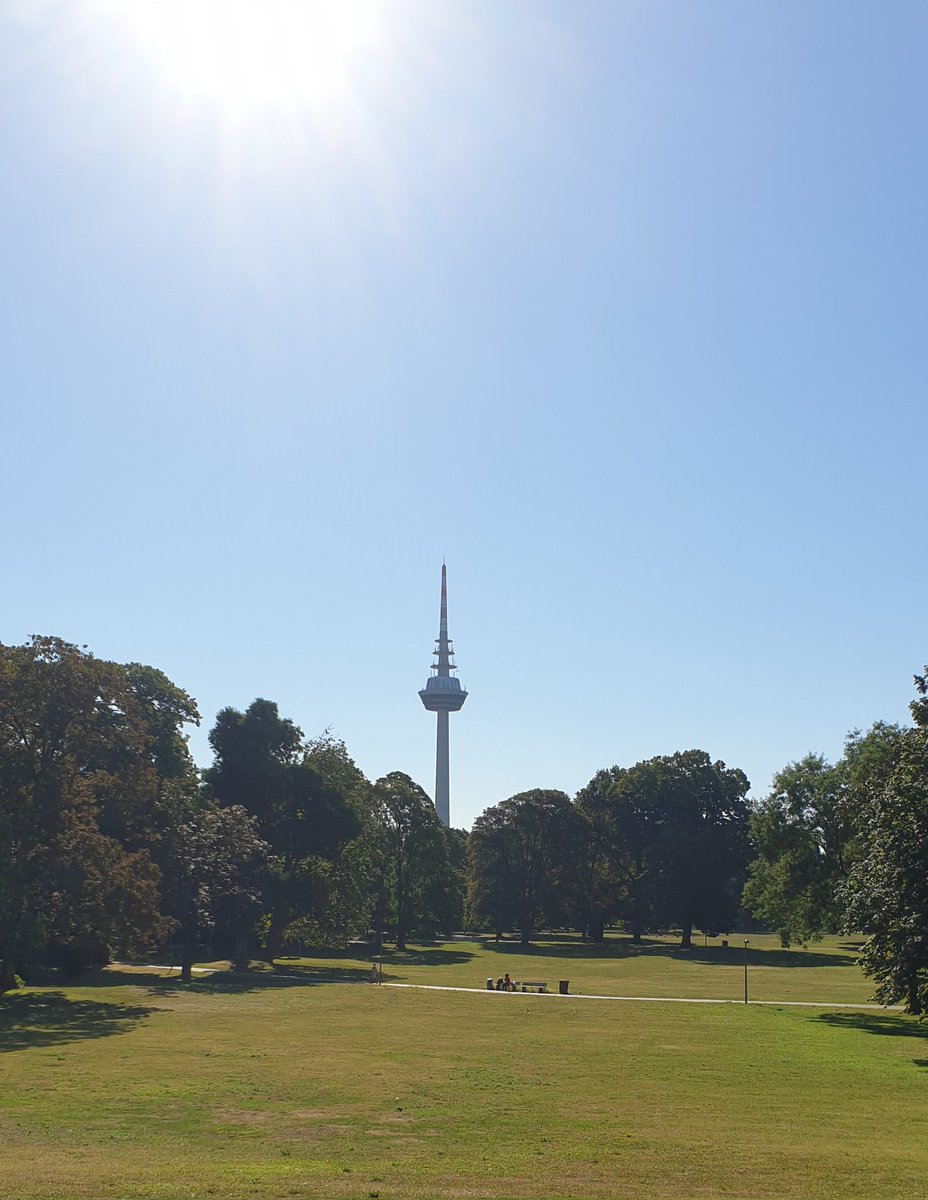 Magdalena Klimczyk tweet media