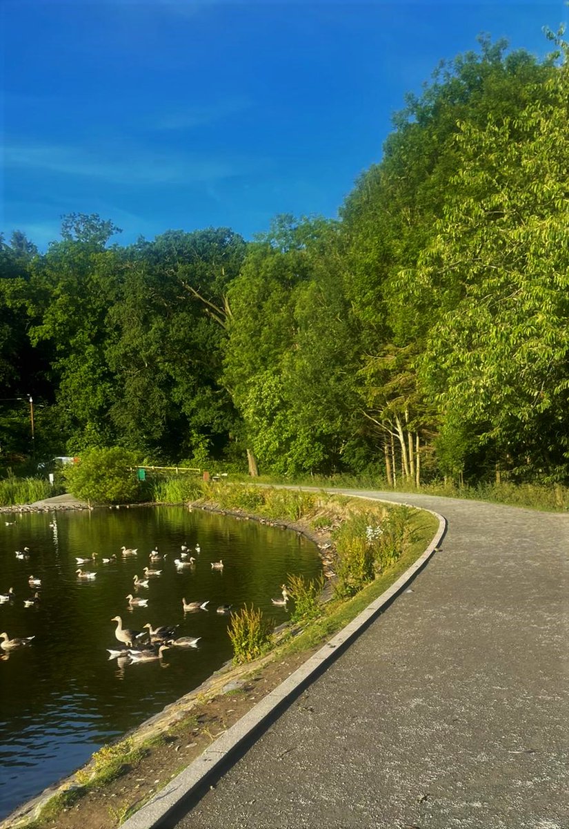 Our team are 5 days in to their 5K-per-day challenge in aid of Business Beats Cancer Belfast! How unreal do these scenic shots from Sarah Orange look?

Are you in the position to donate? You can through the link: buff.ly/3R86xYj

#CharityWork #TeamChallenge #5kadayJuly