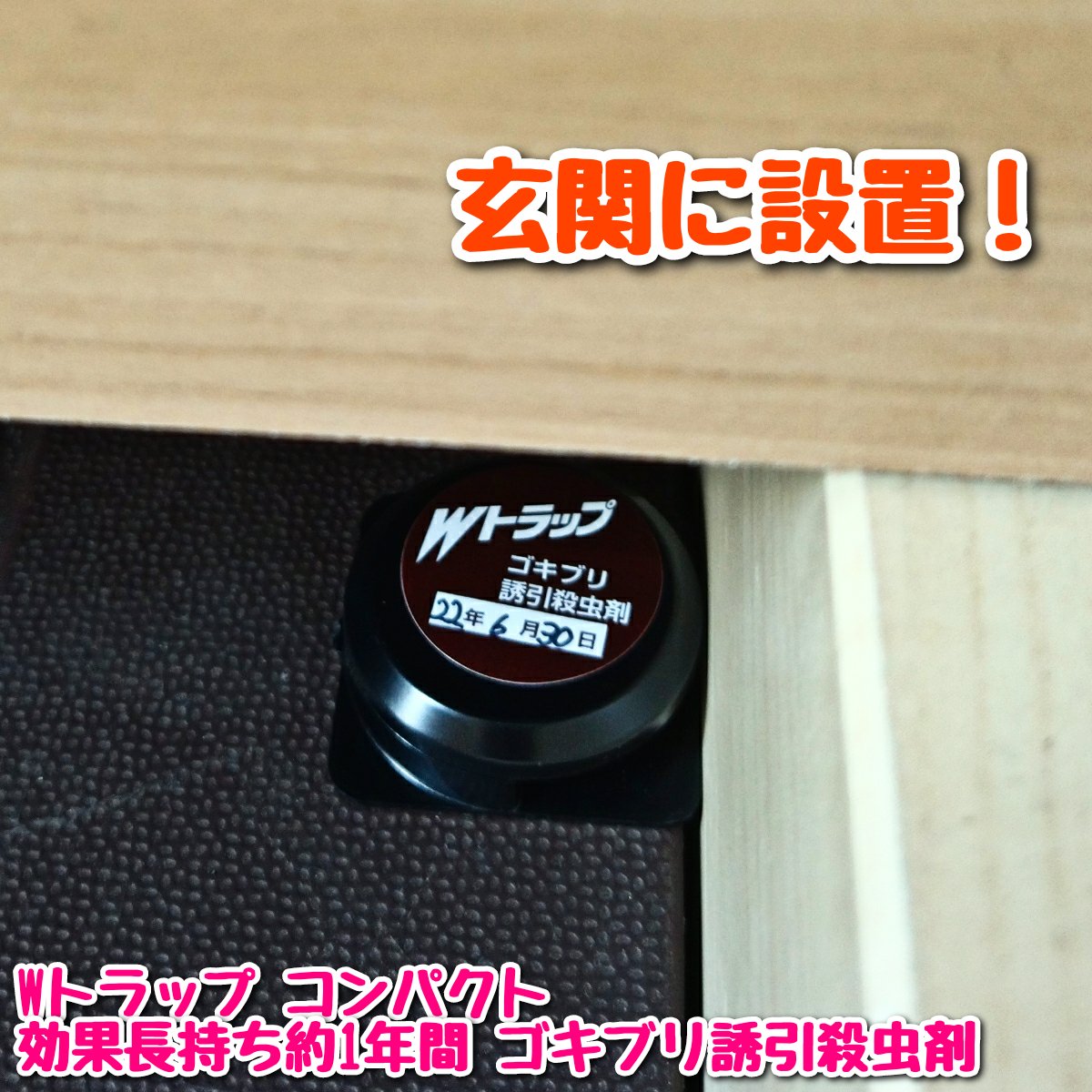 フィプロニル Twitter Search Twitter フィプロニル Twitter Search Twitter