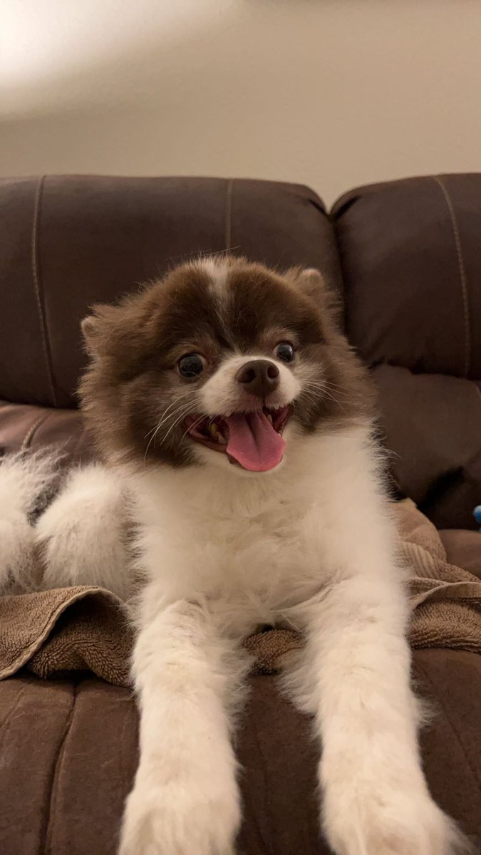 gabriella youde tweet media