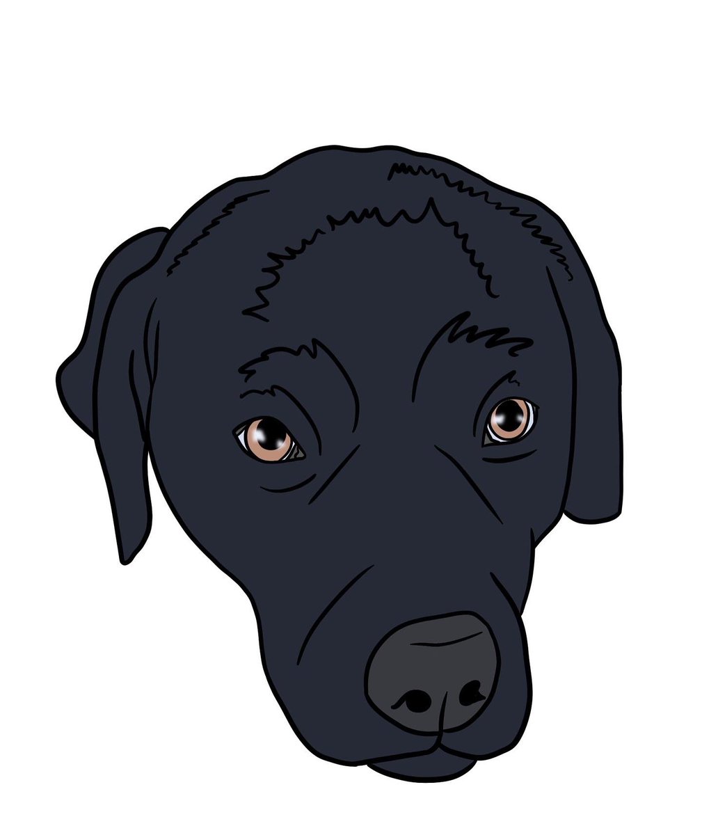 kbdoesart's tweet photo. Some more custom pet stickers of these cute pups!
#art #artist #drawing #digital #procreate #sticker #custom #pet #customsticker #petsticker https://t.co/JmdHhh7COs