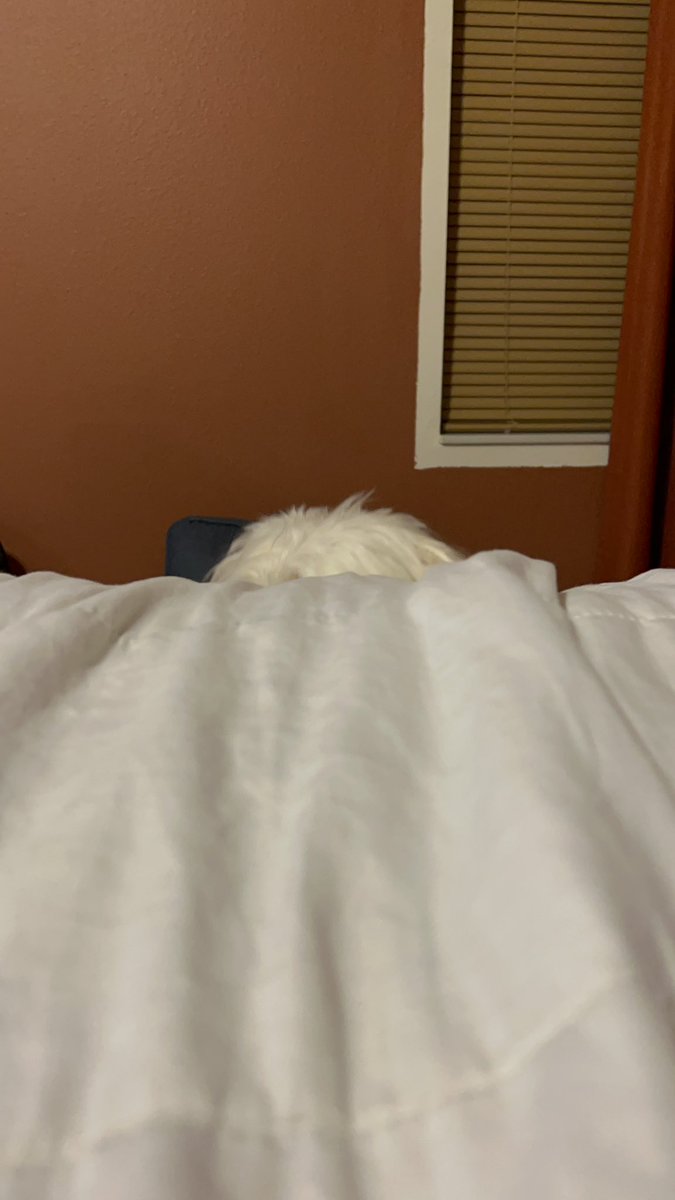 jenmanaa's tweet photo. he playin peek a boo https://t.co/TImmOsC2dB