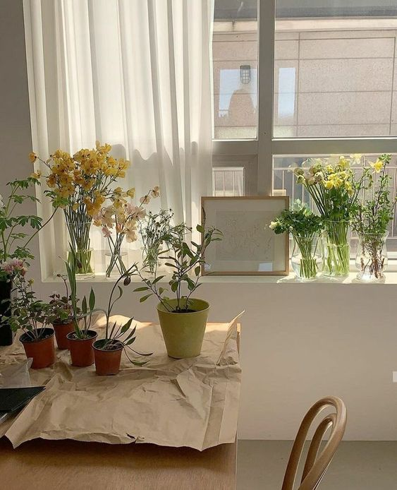 etherealdior's tweet photo. just like plants, you, too, need sunlight and warmth to grow https://t.co/mf4FMWZC9P