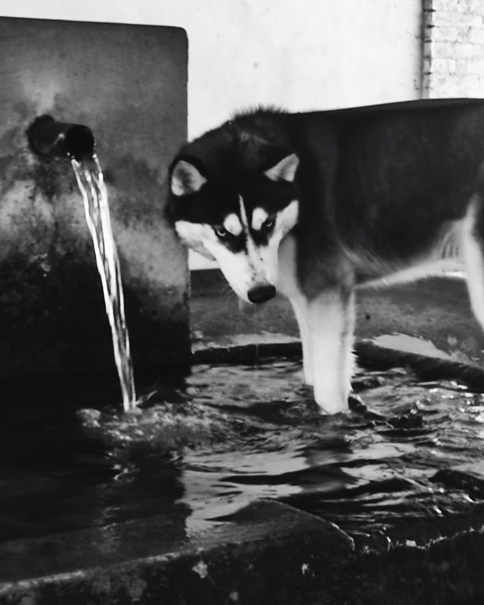 BlogRomano's tweet image. #goodmorning #travelphotography #blackandwhitephotography