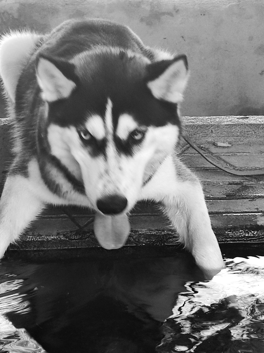 BlogRomano's tweet image. #goodmorning #travelphotography #blackandwhitephotography