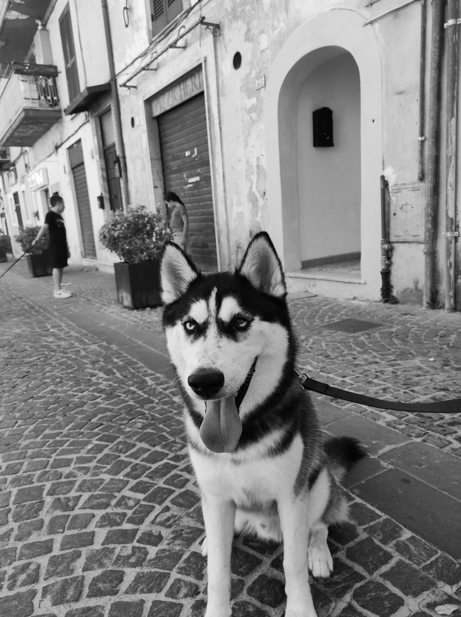 BlogRomano's tweet image. #goodmorning #travelphotography #blackandwhitephotography