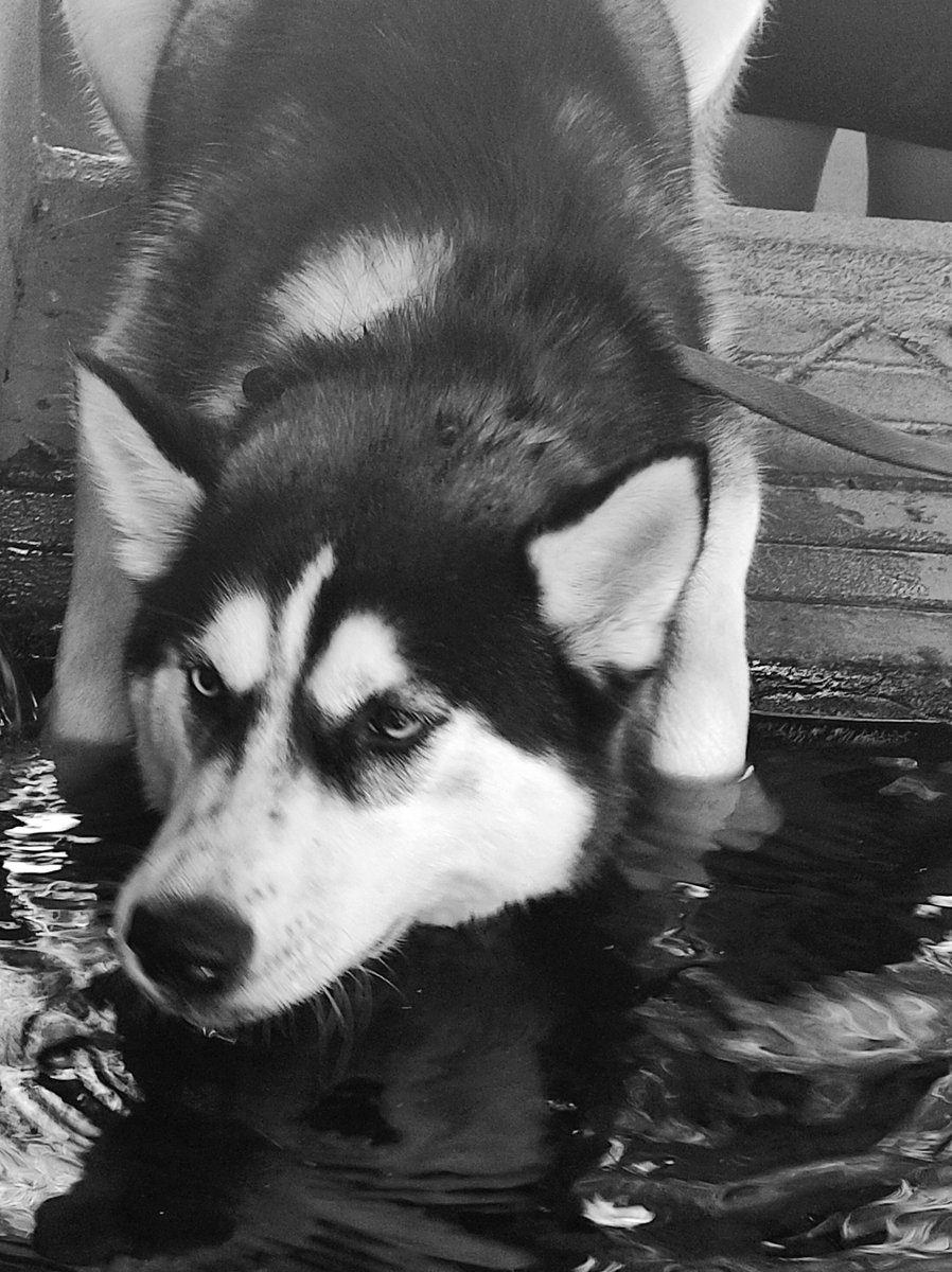 BlogRomano's tweet image. #goodmorning #travelphotography #blackandwhitephotography