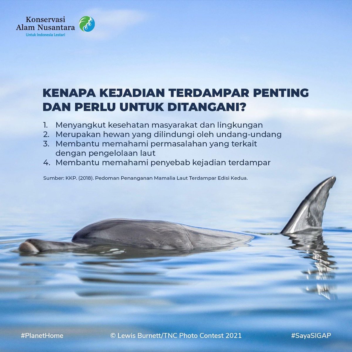 ykan_id's tweet photo. Ternyata, ada beberapa alasan penyebab setasea bisa terdampar. Di antaranya terkait aktivitas manusia dan bisa kita hindari!
Yuk, peduli kehidupan laut #UntukIndonesiaLestari !
#YKAN
#sayaSIGAP
#PlanetHome https://t.co/EqqDmdJMVf