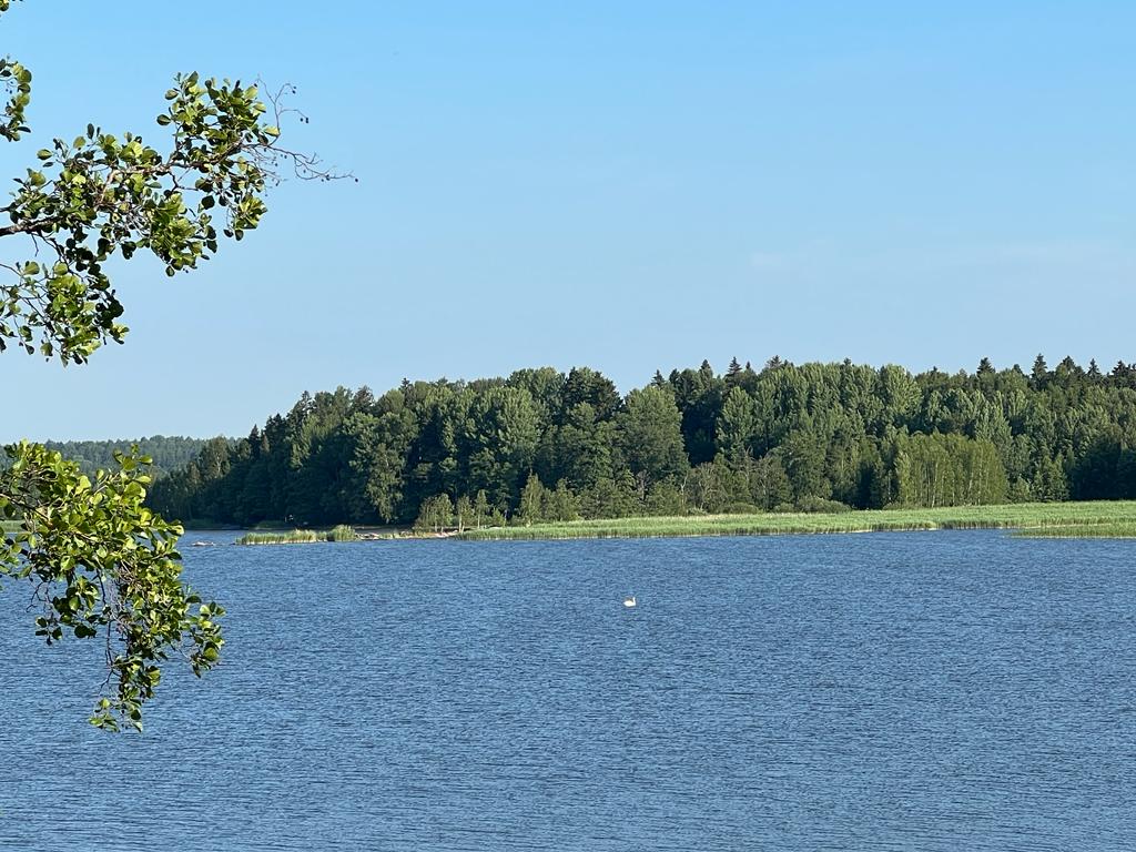 Hauhon Jokamiestriahlon järjestetään 3.8. jo 20:n kerran.
Tule mukaan Suomen rennoimpaan triathloniin. Viime vuodet kisa on ollut loppuunmyyty, joten ilmoittaudu ajoissa. ilmoittaudu.oikeareitti.net
#triahlon #hauho #juoksu #pyöräily #uinti #oikeareitti #jokamiestriathlon