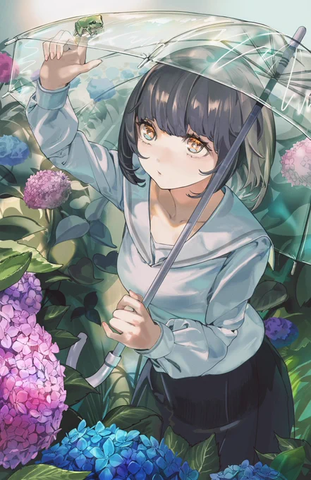 紫陽花 