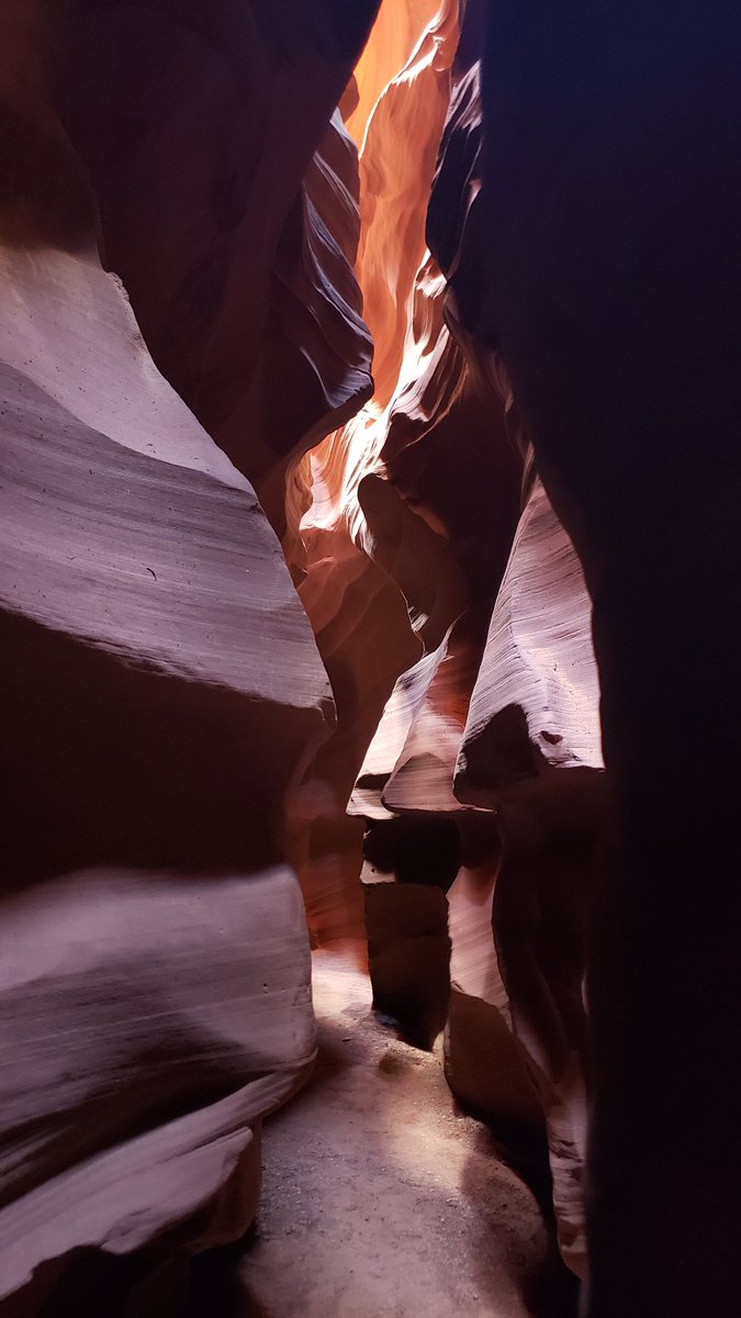 joelevanshhhs's tweet image. These pictures don&apos;t do it justice.