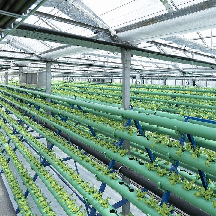 ModernAgUpdates's tweet photo. Are you interested in modern farming technologies?
Leave a comment, like and retweet! https://t.co/tNlDoJhqvs