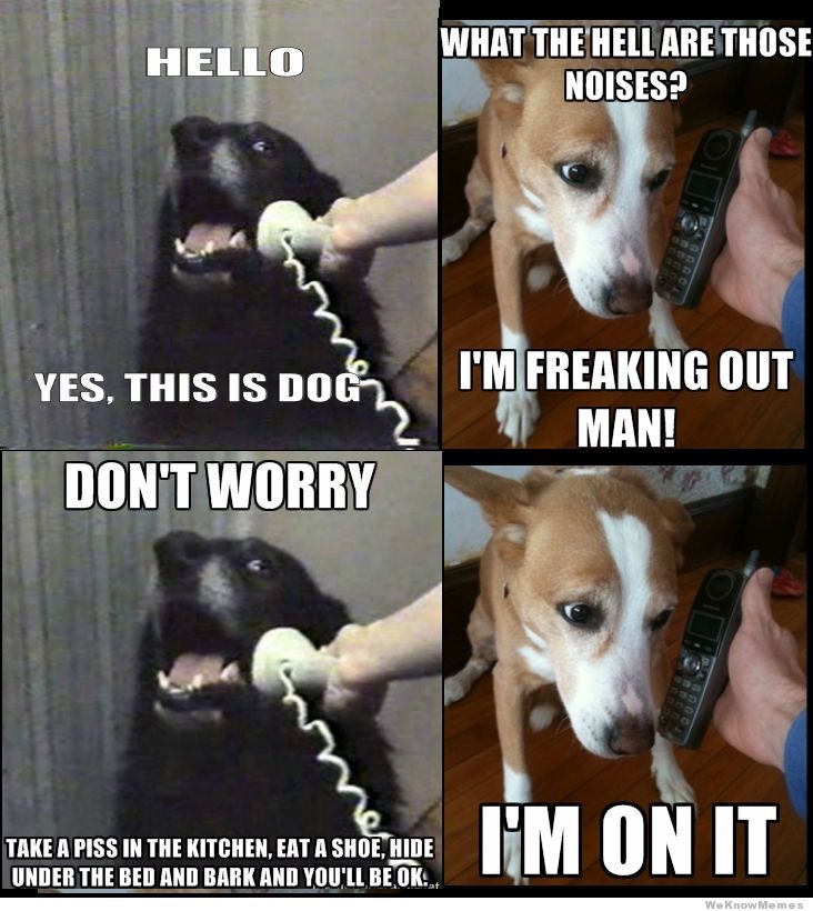 WeNeed2Laugh's tweet photo. @bestofnextdoor https://t.co/J1pdC16Ilo