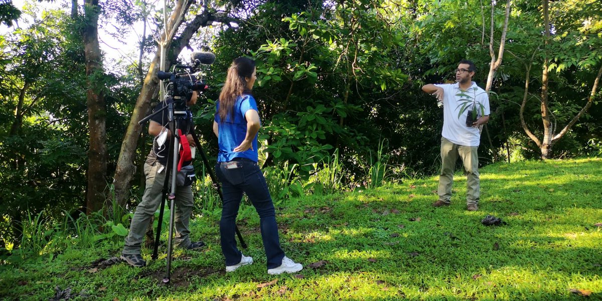 Opava_osfl's tweet photo. Algunas imágenes de lo que fue la grabación del reportaje para el segmento MUNDO VERDE de @tvnnoticias @tvnpanama , mostrando la importancia del Cerro La Cruz en Los Andes 2 en San Miguelito y el objetivo de lo que hacemos en este sitio. @MinGobPma @PenitenciarioPA @CopaAirlines https://t.co/fFA0HtHhMf