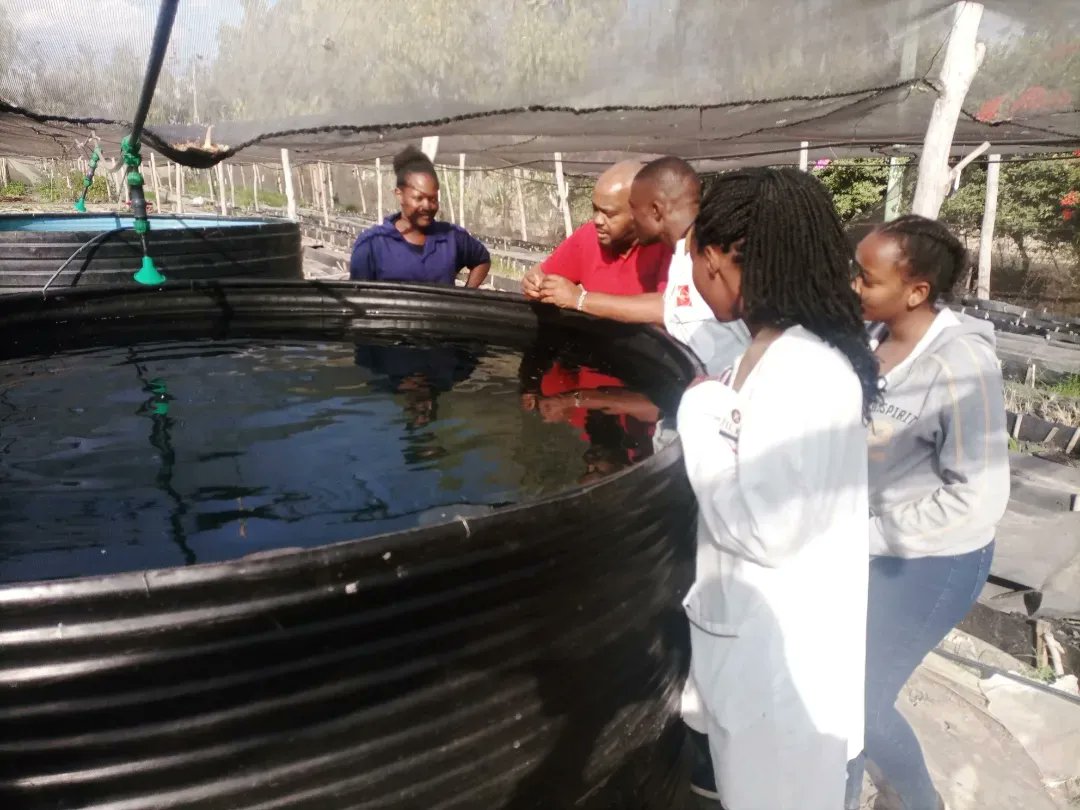 kisumeo_organic's tweet photo. Farming is an endless learning cycle 💡🥦🔬. Conducting site survey for the next crawfish farmer. #Crawfishfarming #Kisumeoorganics https://t.co/DolarakKg6