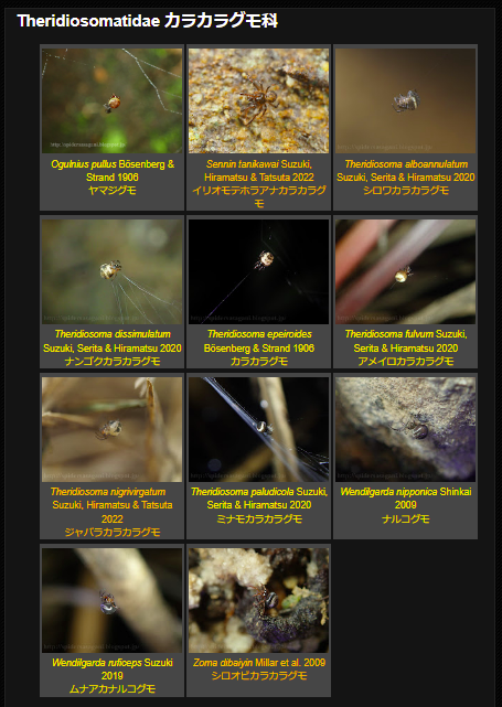 クモちゃん (@JunichiKumo) / Posts / X