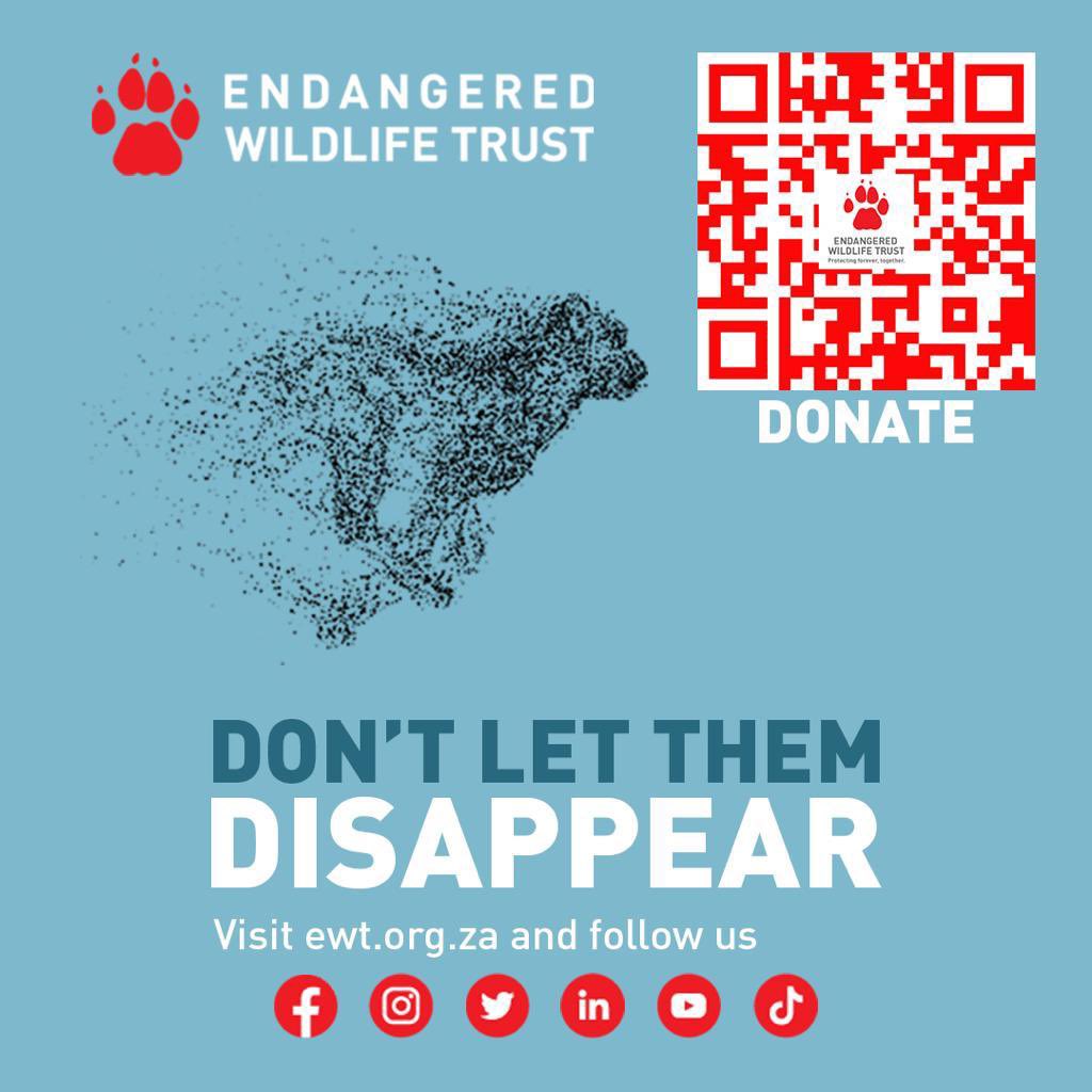 “Your small change can make a BIG change. @TheEWT works to prevent wildlife extinctions. Please feel free to donate and get involved. Act now.