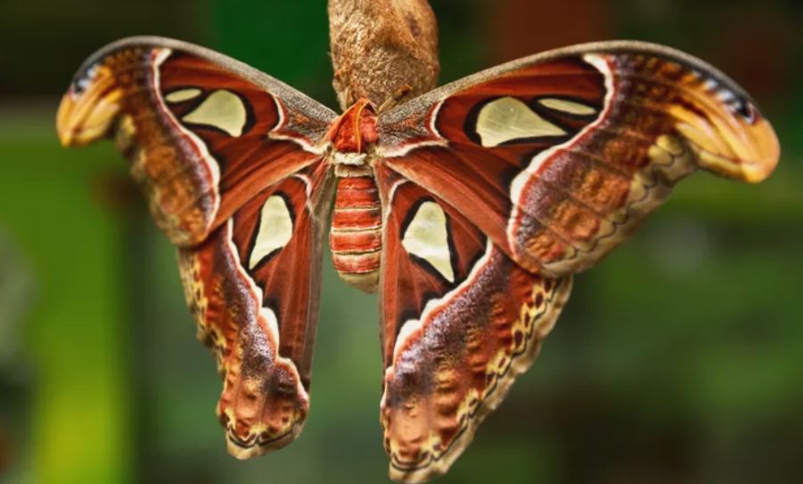 new blog post: on What you need to do before you write.
 a fiction writer ala Hollywood is some guy sitting at a typewriter with a blank sheet of paper not having a clue what he will type. to read more -> ejgwrites.blogspot.com <a href="/SCBWIRockyMtn/">SCBWI Rocky Mtn (NOT MONITORED)</a>
 #kidlit  <a href="/SCBWI/">scbwi</a>
 #fiction