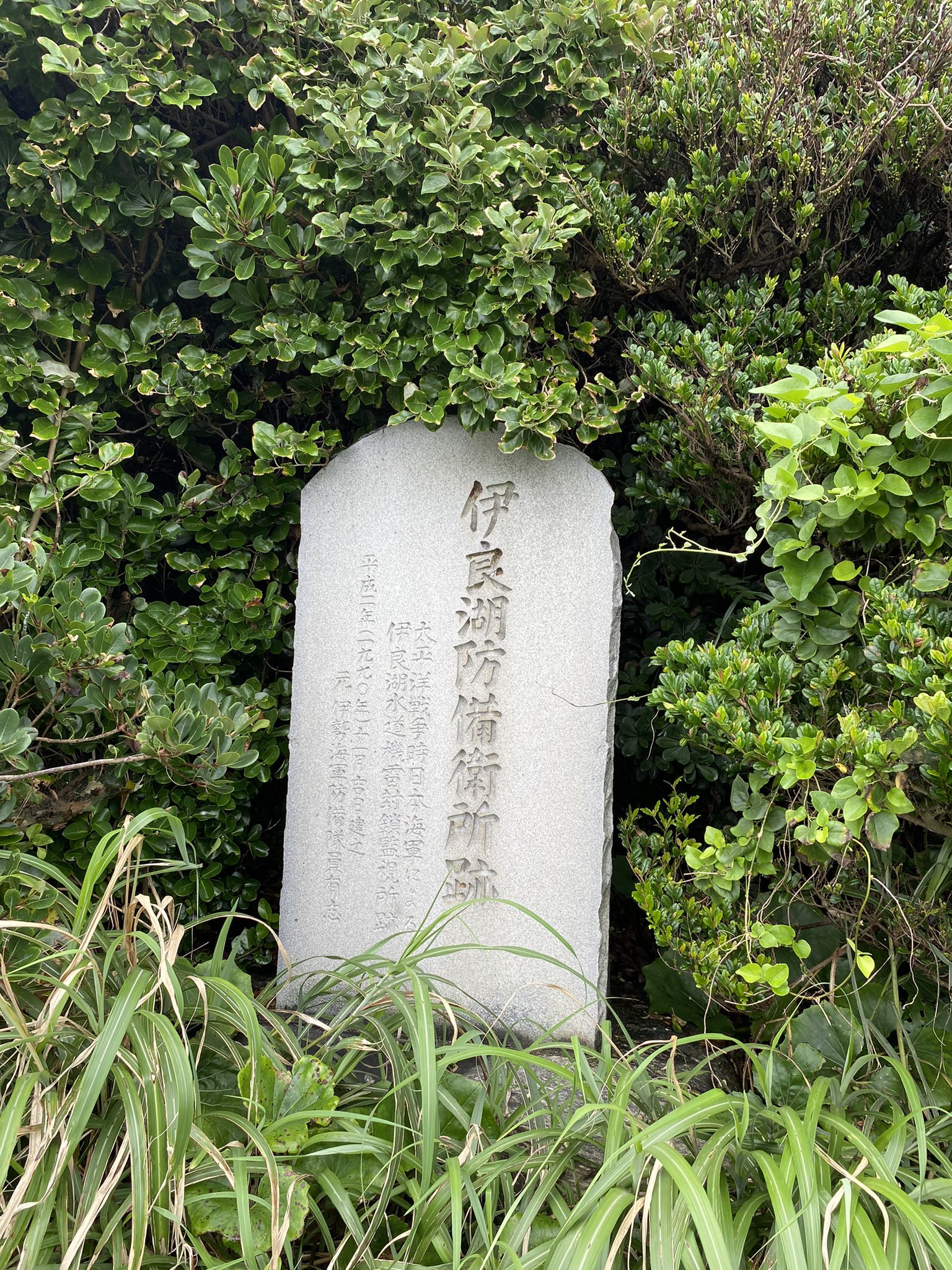 菊咲一花 Twitter Search Twitter
