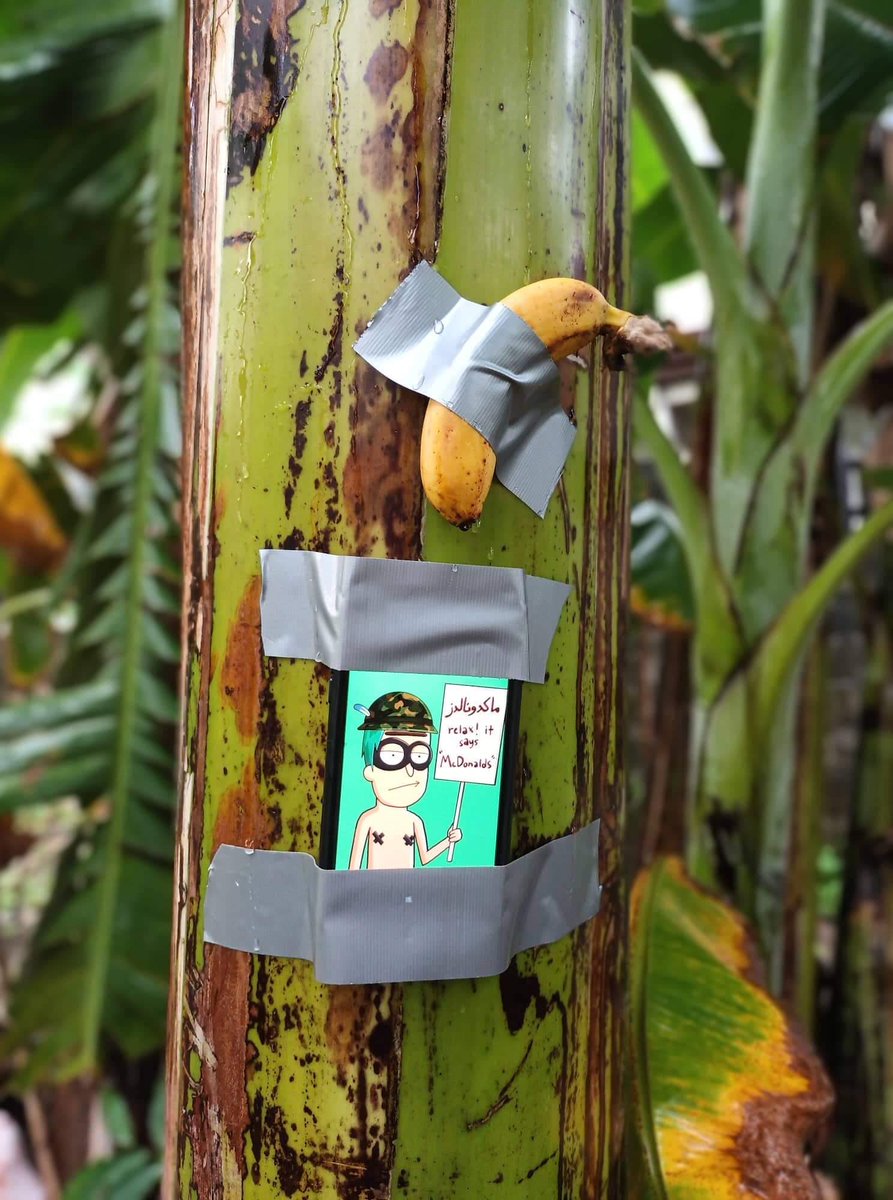 roppyaku's tweet photo. @GodHatesNFTees Straight from the source!!! 🍌 🍌 🍌🤙
#GodHatesNFTees 
@sososoclub @fxbdsgn 
0x40fD11470551Df775B60900db22d48a04896B01B https://t.co/33qemNLkSM