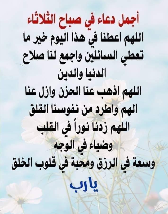 Abdo Maky (@ffff_fftg) on Twitter photo 