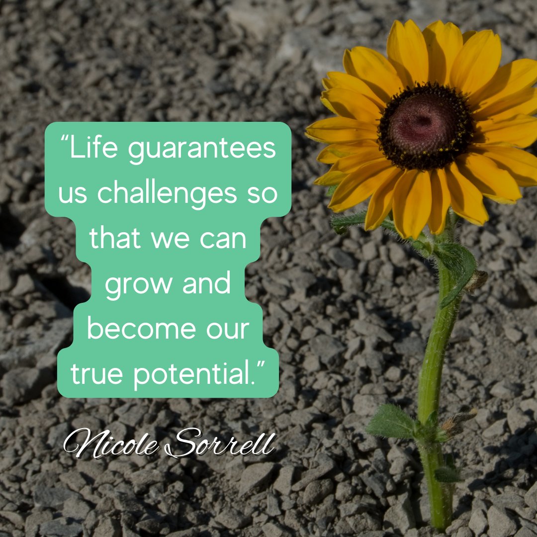 Like many, I have experienced significant #lifechallenges and each has revealed another aspect of my essence that is ready to grow and eventually shine. As we surrender, magic slowly happens - we discover something different, a new voice, our #power and become our #truepotential.