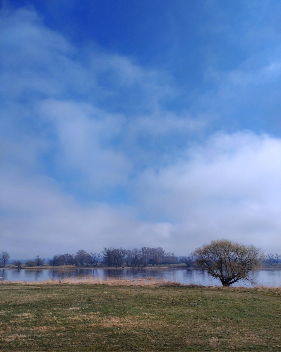 Andreas_Brohm's tweet photo. Mit dem Verein Altmark-Elbe-Havel hat sich östlich und westlich der Elbe eine gemeinsame LEADER-Gruppe gegründet. Wir möchten auch in Zukunft tolle Projekte, etwa bei den Themen Digitalisierung, Umwelt und Tourismus unterstützen: https://t.co/EQqQOJa6uJ https://t.co/VmtjZdy8x2