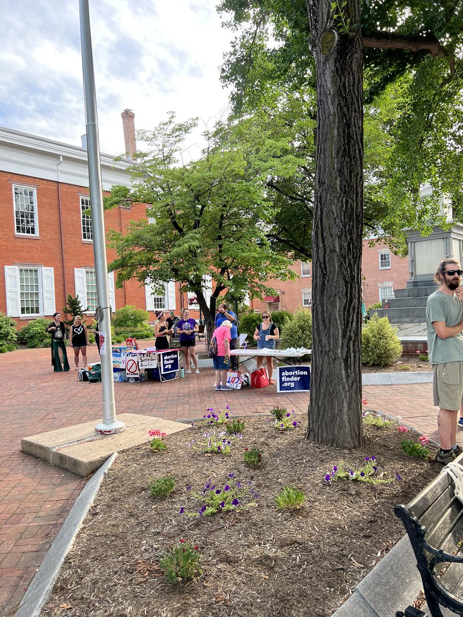 CV Rising tweet media