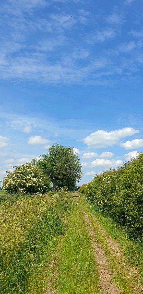 snapperchatta's tweet photo. Hello from North Yorkshire. My way. (May need a click.) #FarmTrack #Walking #Nature #Yorkshire https://t.co/NFS8Zkb2dz