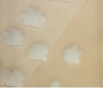 Graphene Conference, the largest European Event in Graphene and 2D Materials, starts today in Aachen (Germany), July 5-8, 2022. Come to meet us booth #23 to know more about our graphene and TMDs (MoS2 ) growth solutions: RTCVD, ALD, DLI-CVD... urlz.fr/iIQQ