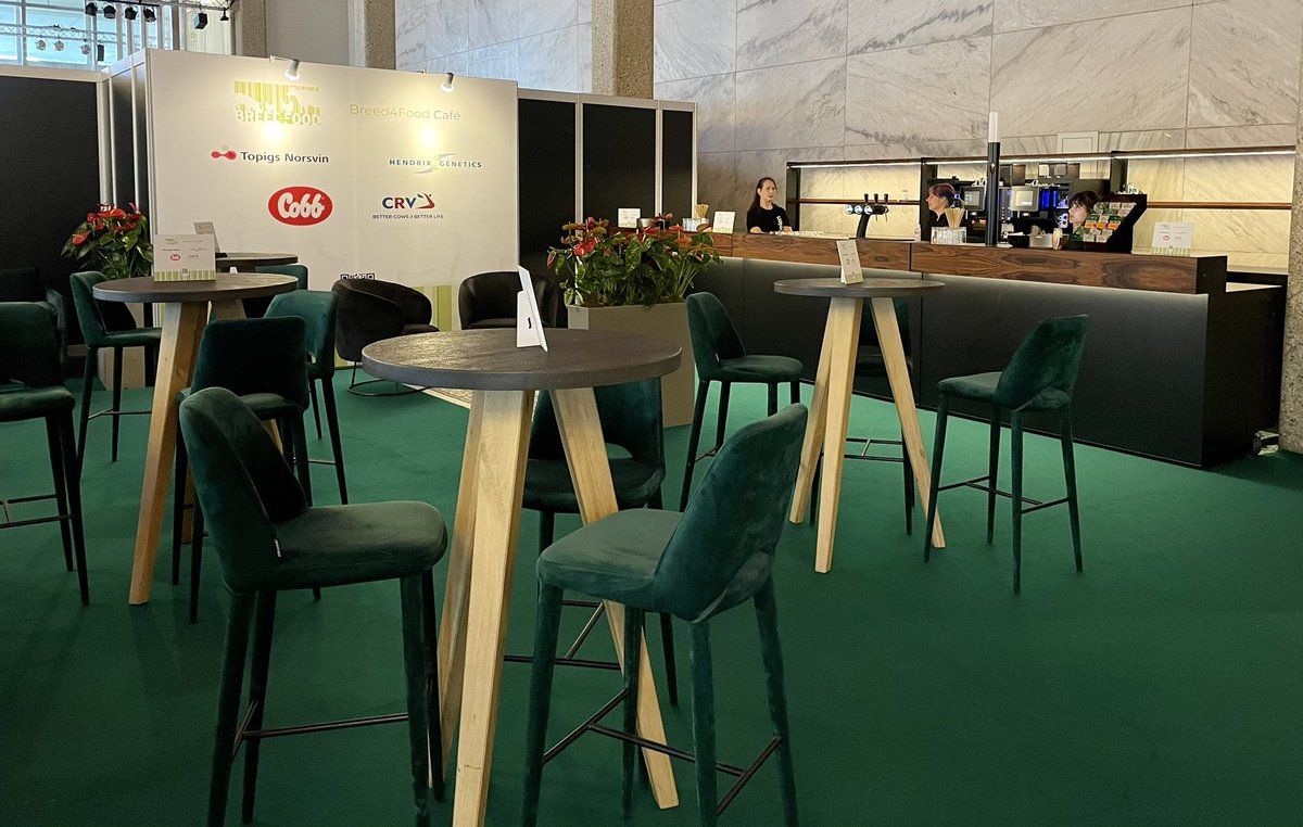 Manuel Revilla tweet media